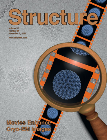 Campbell MG, Cheng A, Brilot AF, Moeller A, Lyumkis D, Veesler D, Pan J, Harrison SC, Potter CS, Carragher B, Grigorieff N. (2012). Movies of ice-embedded particles enhance resolution in electron cryo-microscopy. Structure, 20, 1823-1828.